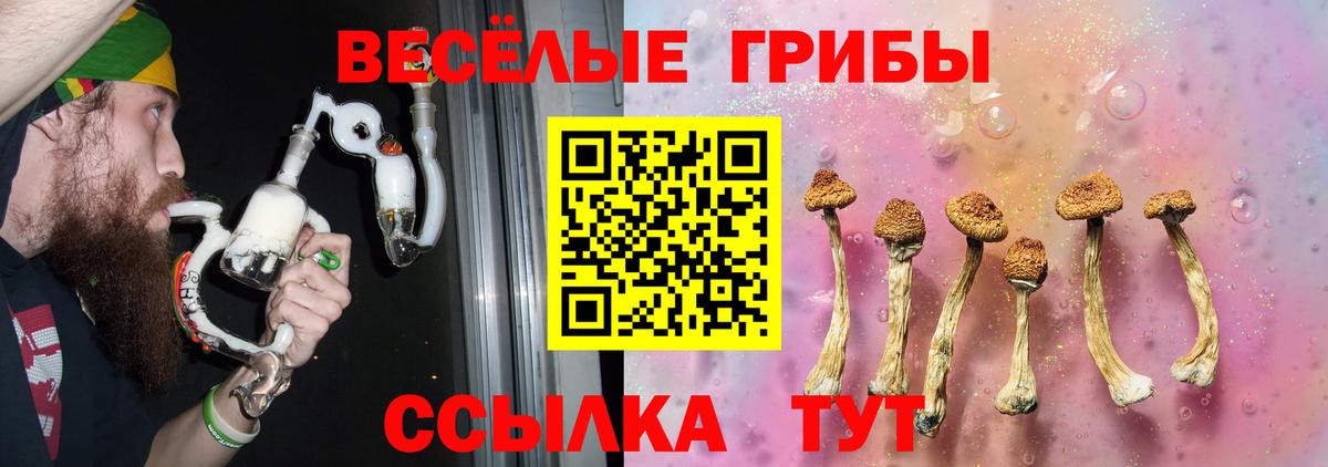 Галлюциногенные грибы Psilocybine cubensis Тутаев